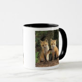 Mug Renard roux bébé devant terrier (Vulpes vulpes) (Devant droit)
