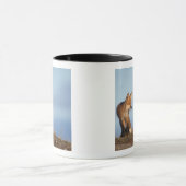 Mug renard roux, Vulpes vulpes (Centre)