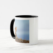 Mug renard roux, Vulpes vulpes (Devant gauche)