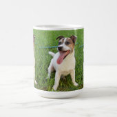 Mug Renard Terrier, Langue À La Poitrine, (Centre)