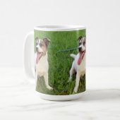 Mug Renard Terrier, Langue À La Poitrine, (Devant gauche)
