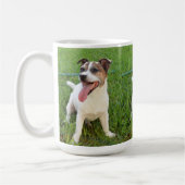 Mug Renard Terrier, Langue À La Poitrine, (Gauche)