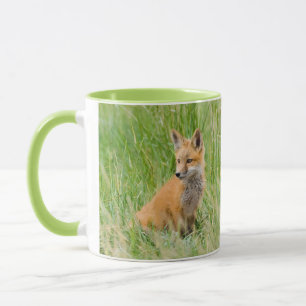 Mug Renardeau roux dans l'herbe près du terrier