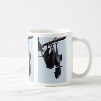 MUG RENARDS DE VOL AUSTRALIENS