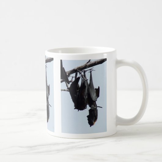 MUG RENARDS DE VOL AUSTRALIENS (Droite)