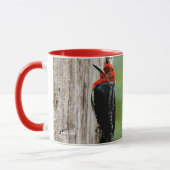 Mug Rencontre avec un suceur à poitrine rouge (Gauche)