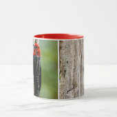 Mug Rencontre avec un suceur à poitrine rouge (Centre)