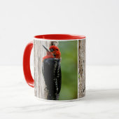 Mug Rencontre avec un suceur à poitrine rouge (Devant gauche)