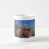 Mug Reno, Nevada (Centre)