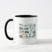 Mug Reptiles, serpents et lézards (Gauche)