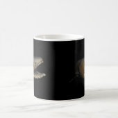 Mug Requin Frilled Chlamydoselachus Anguineus (Centre)