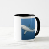 Mug Requin gris de récif (amblyrhynchos de (Devant droit)