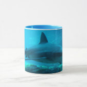 Mug Requin Obscur (Carcharhinus Obscurus), Ushaka (Centre)