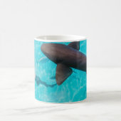 MUG REQUINS SUR LE CORPS D'EAU (Centre)