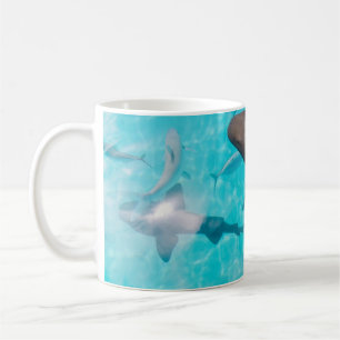MUG REQUINS SUR LE CORPS D'EAU
