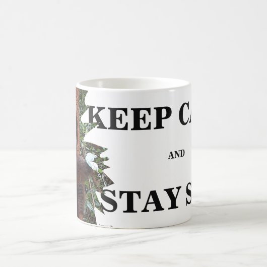 Mug Restez au calme Faune Orangutan (Centre)