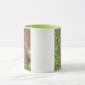 Mug Rhesus Monkey Baby, Monkey Temple, Jaipur (Centre)