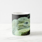 Mug Rhinoceros Iguana (Centre)