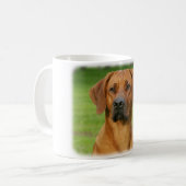 Mug Rhodesian Ridgeback (Devant gauche)
