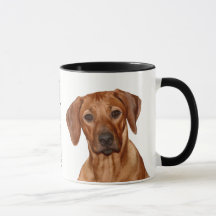 Rhodesian Ridgeback mok