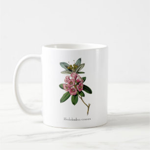 Mug Rhododendron viscosum