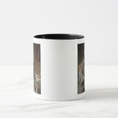 Mug Richard Grenville, temple de comte, c.1760 (Centre)