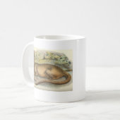 Mug Richard Lydekker - promo de librairie de Fossa (Devant gauche)