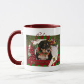 Mug Riley - border collie - Linda (Gauche)