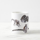 Mug Ring-tailed lemur (Centre)