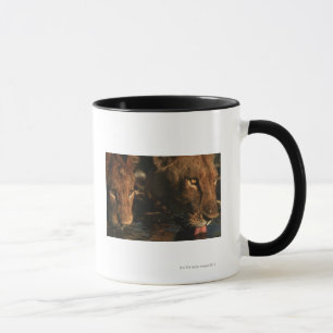 Mug Rivière de Khwai, réservation de faune de Moremi