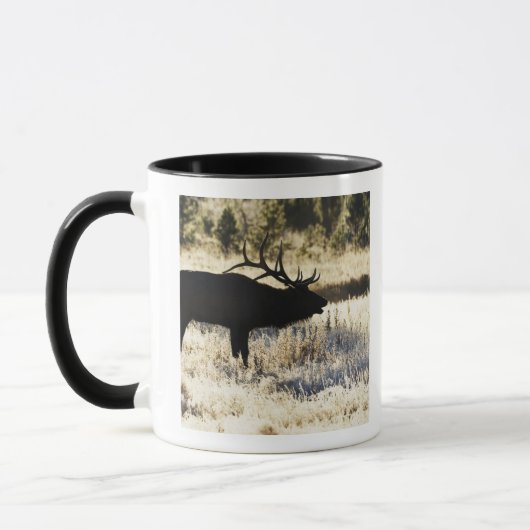 Mug Rivière de Madison, Yellowstone NP, Wyoming, (Gauche)