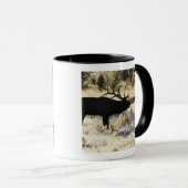 Mug Rivière de Madison, Yellowstone NP, Wyoming, (Devant droit)