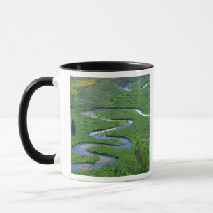 Mug Rivière East près de la ville de Crested Butte.