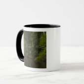 Mug Rivière Mapari, Mapari Rupununi, Guyana. (Devant gauche)