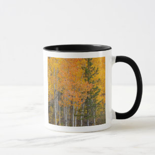 Mug Rivière Provo et trembles