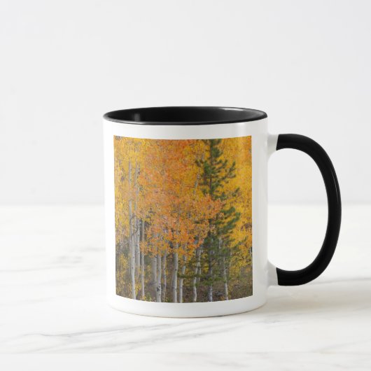 Mug Rivière Provo et trembles (Droite)