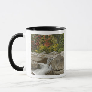 Mug Rivière Swift qui descend à travers des rochers,