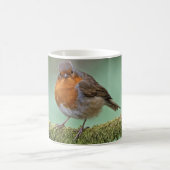 Mug Robin (Centre)