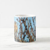 Mug - Robin dans les branches nues (Centre)
