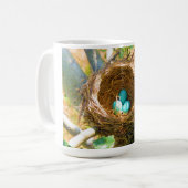 Mug Robin eggs incouvé dans un nid d'arbre de jardin (Devant gauche)