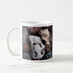 Mug Rocks intéressants du lac Michigan Shore