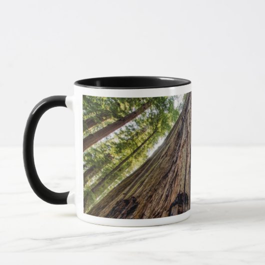 Mug Roosevelt Grove (Gauche)