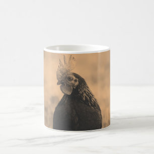 Mug Rooster Portrait