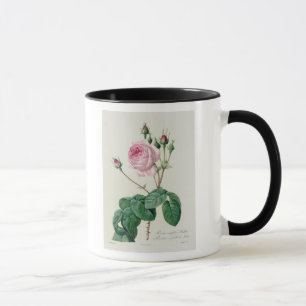 Mug Rosa Centifolia Bullata