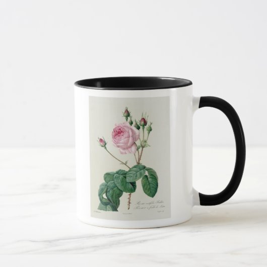 Mug Rosa Centifolia Bullata (Droite)