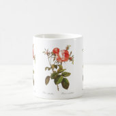 Mug Rosa Centifolia Foliacea (Centre)