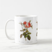 Mug Rosa Centifolia Foliacea (Gauche)