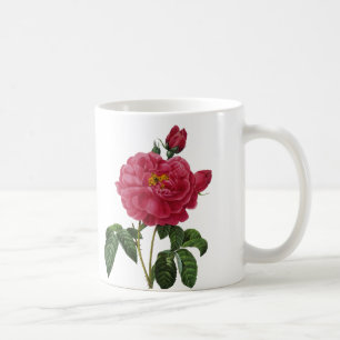 Mug Rosa Gallica
