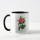Mug Rosa Gallica Regallis (Gauche)