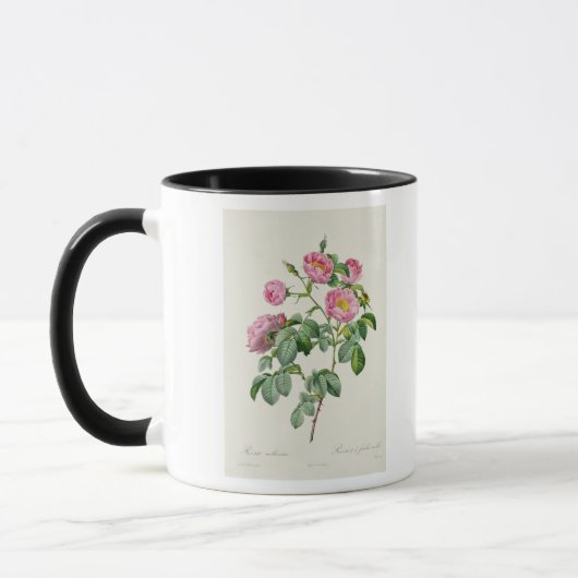 Mug Rosa Mollissima, des 'roses de Les (Gauche)